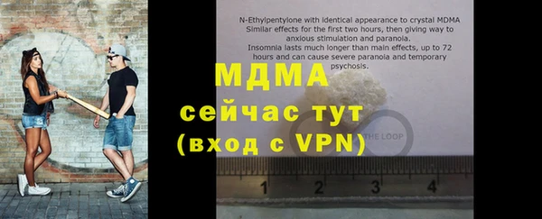 индика Вязьма