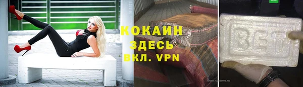 индика Вязьма