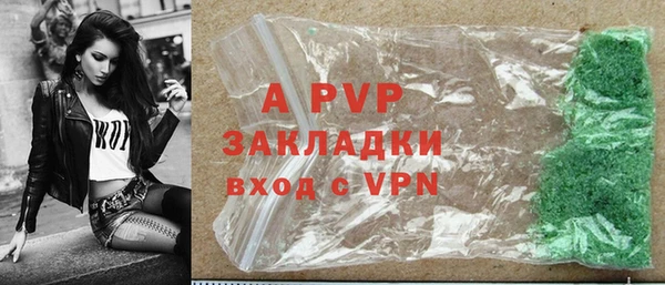 индика Вязьма