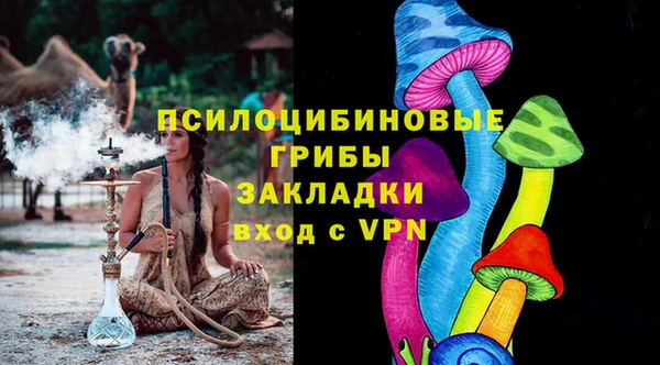 индика Вязьма