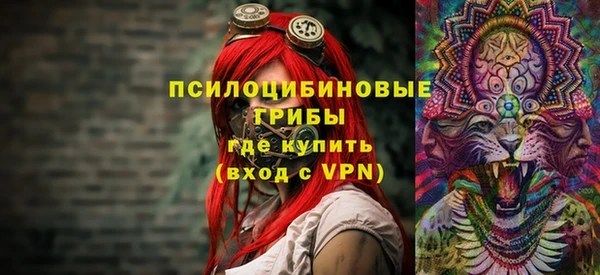 индика Вязьма