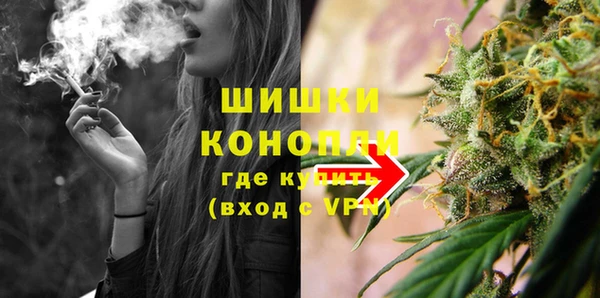 spice Вяземский