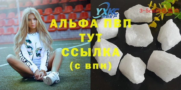 индика Вязьма