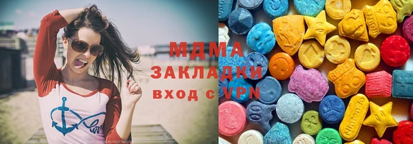 индика Вязьма