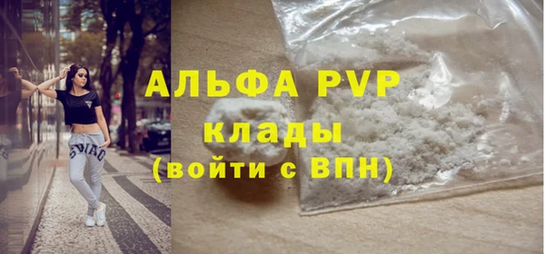 индика Вязьма