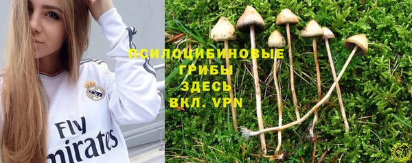 тгк Горняк