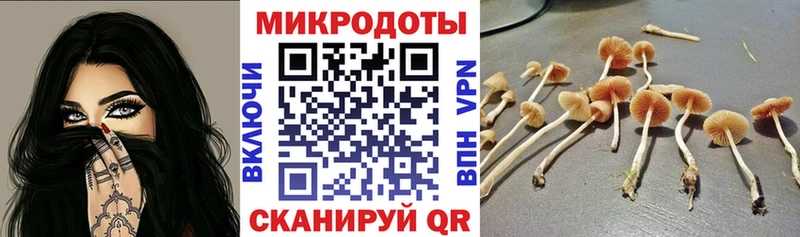 Купить  Полярный  Галлюциногенные грибы Magic Shrooms 